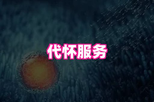 swisee孕网 1