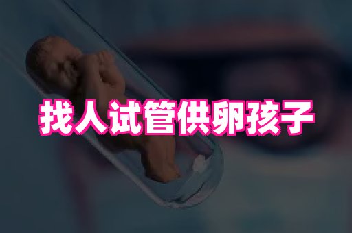 swisee孕网 3
